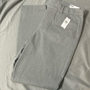 NWT - Gray Pixie Pant - Size 10